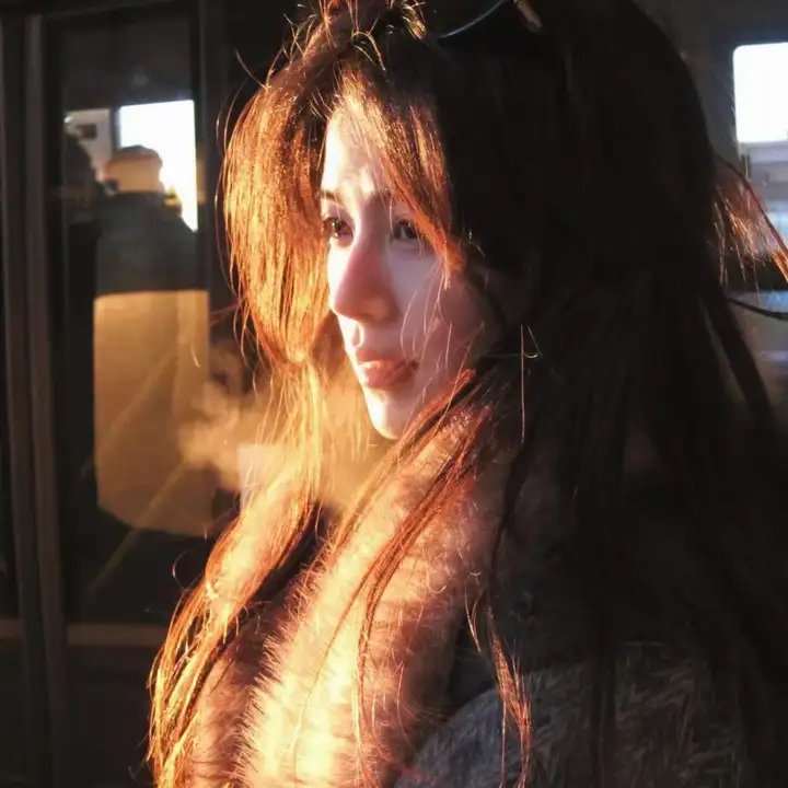 阁楼里的花